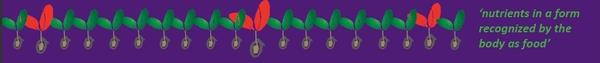 EK red green leaves blue background recognised by the body as food