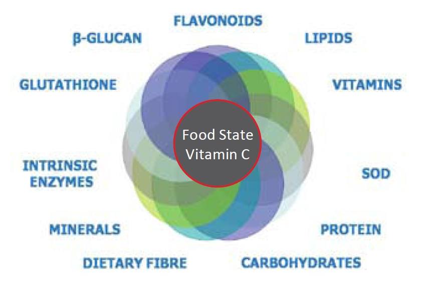EK Diagram all nutrients Vitamin C example
