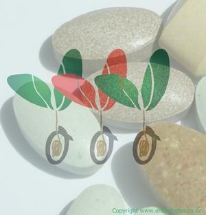 Food State Tablets with Entire Katoa logo red green