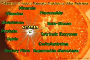 In Food Vitamin C is Naturally Attached to Other Nutrients SMALL